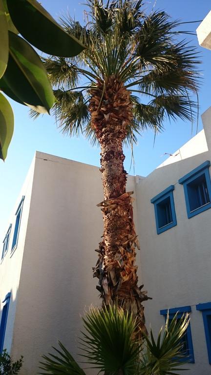 Amazones Villas Apartments Hersonissos  Bagian luar foto